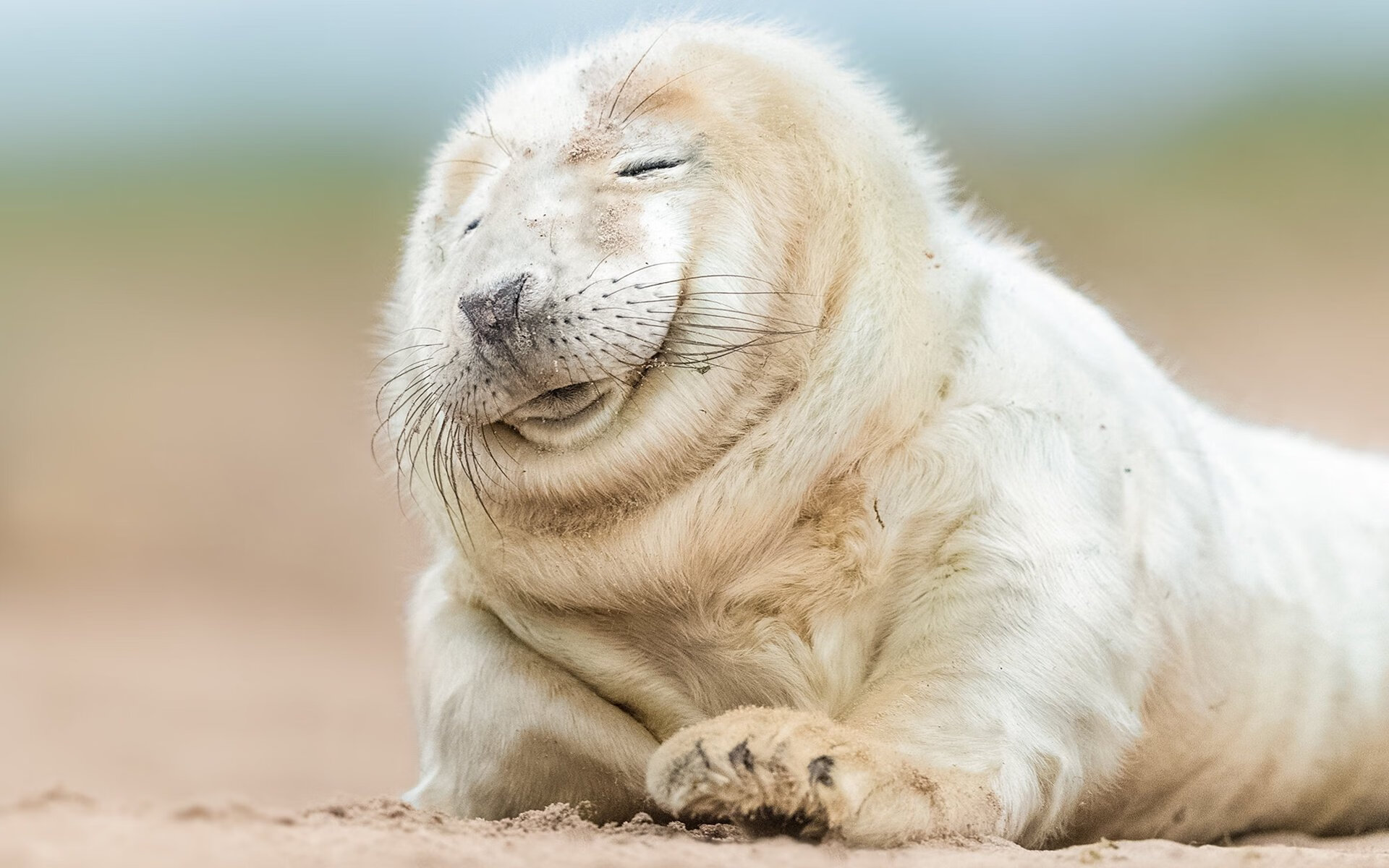 九游网页版入口-“一起跑，亲子乐！香港牛仔3K亲子跑成为新亮点”