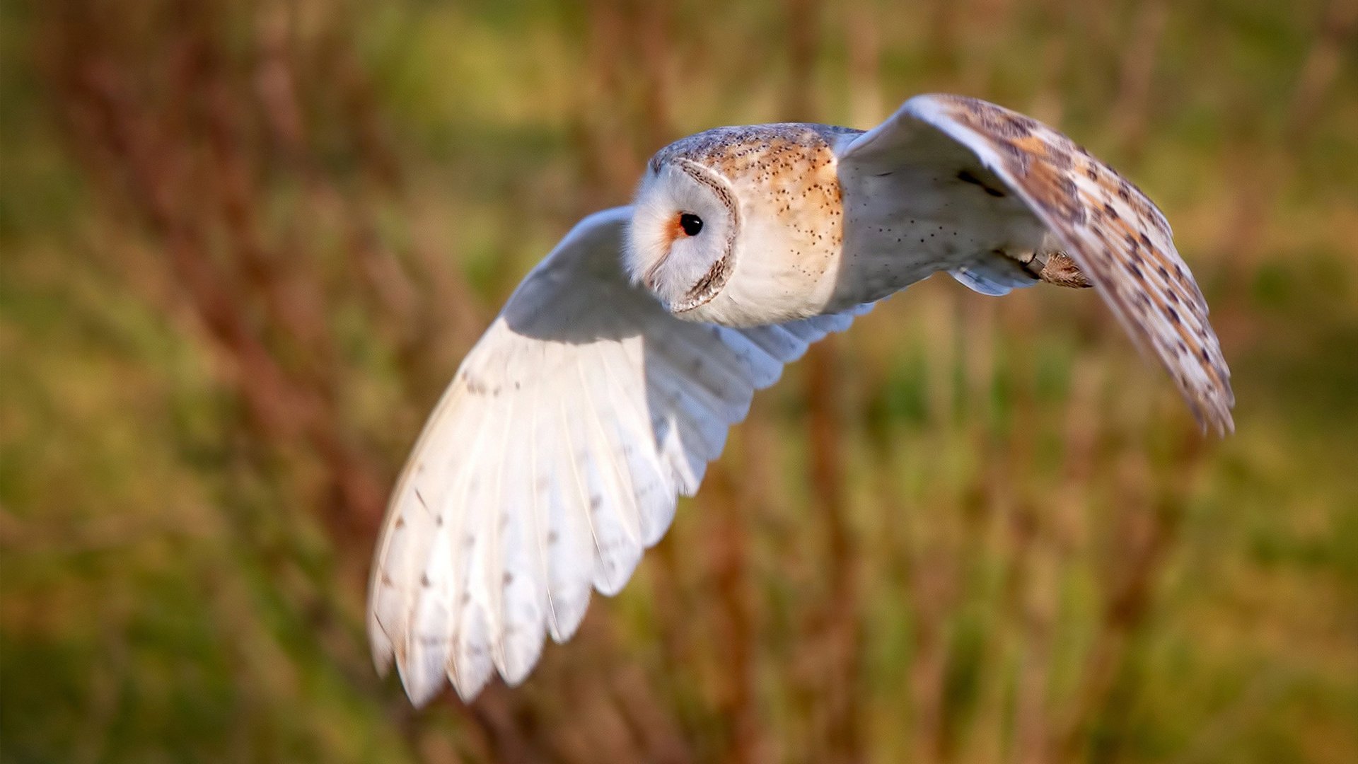 中国九游体育-中国三人篮球女队坚持以防促攻提升效率，中国三人篮球女队员名单