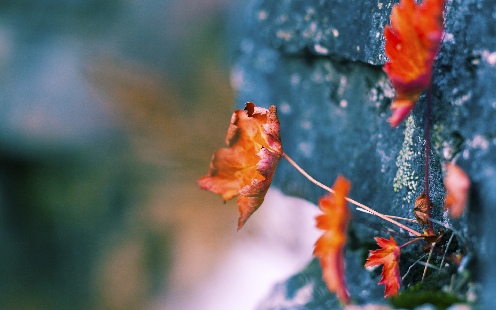 中国九游体育-中国女篮坚持科学训练，中国女篮训练视频