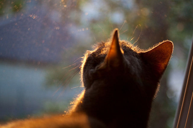 九游娱乐网站-乒乓球青训系统实现地区资源互通，乒乓球青训班