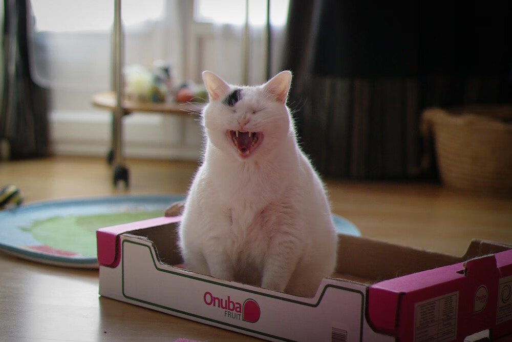 九游网-五大联赛是否重视比赛前五分钟节奏占优的重要性，五大联赛赛制